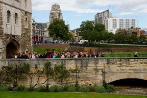 Guided Tours